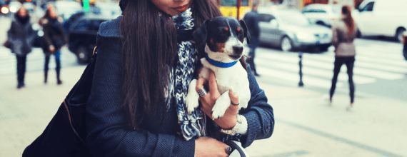 office etiquette: what to know before you bring your pet to work