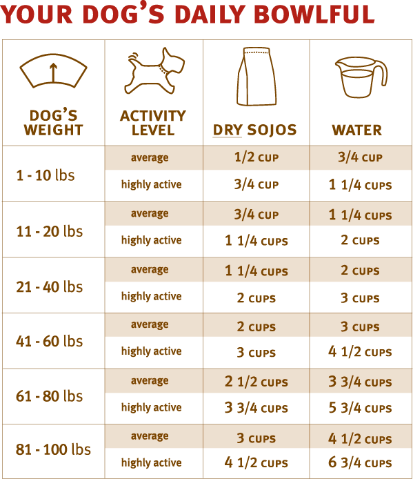 Puppy Food Amount Chart