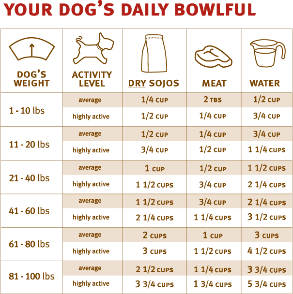 Raw Dog Feeding Chart