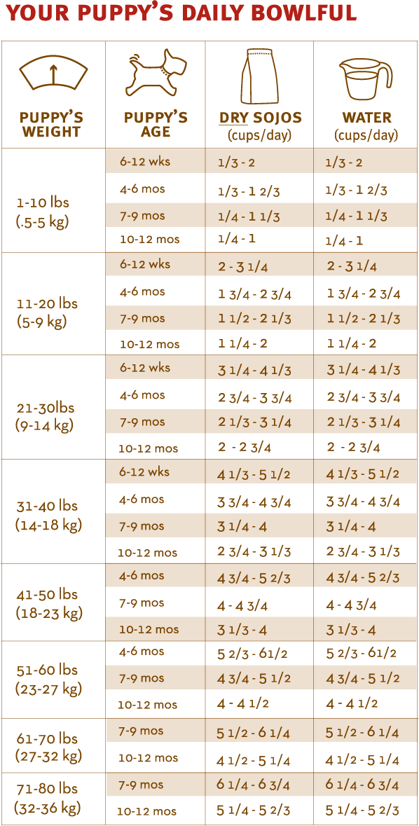 Puppy Food Portions Chart