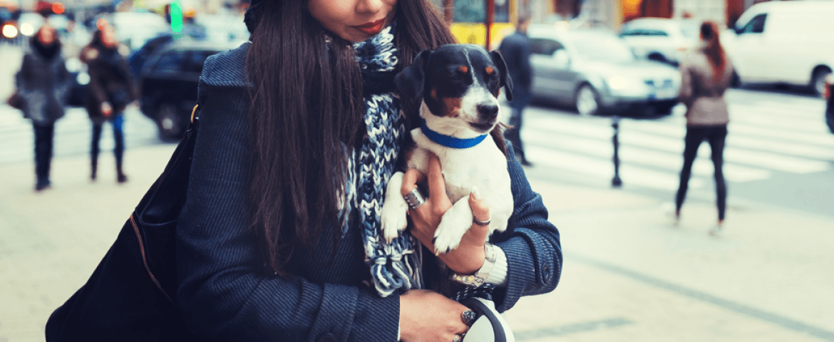 office etiquette: what to know before you bring your pet to work