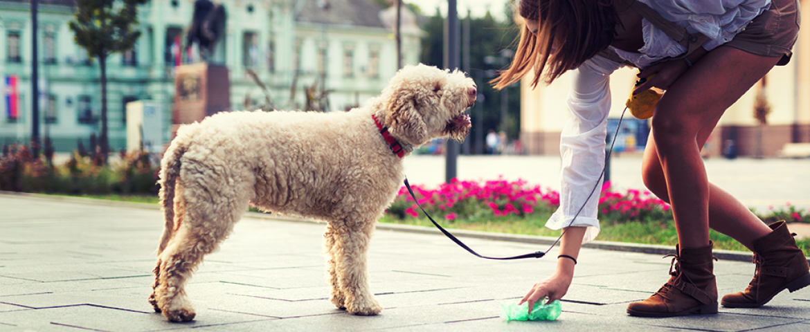 earth day: dog 'waste'