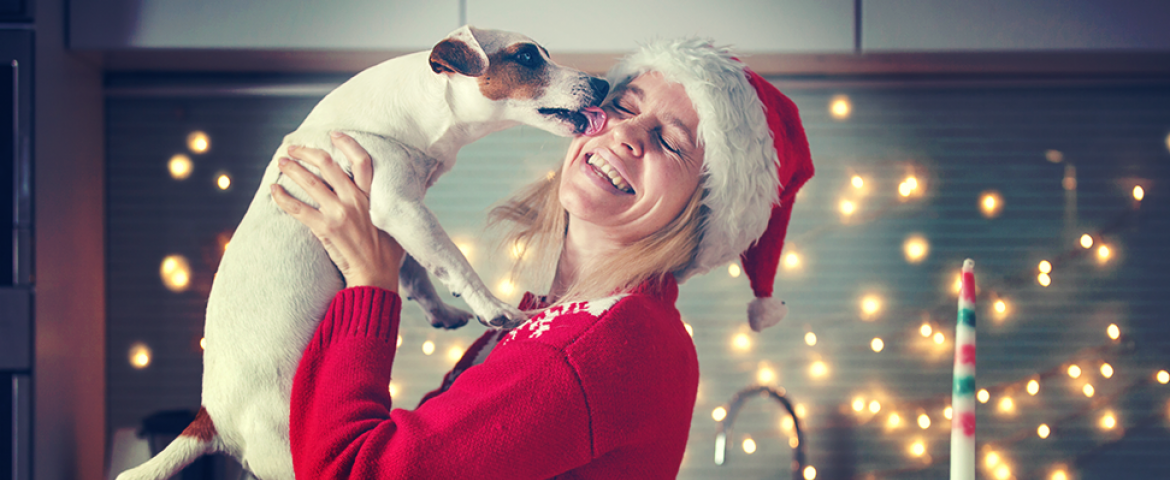 The most important commands to teach dogs for the holidays.