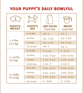 Sojos Complete Puppy Food Turkey & Salmon Recipe