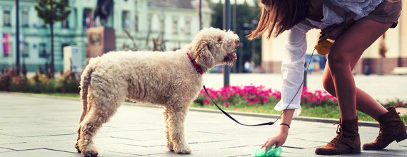 earth day: dog 'waste'