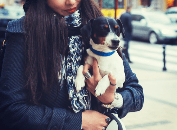 office etiquette: what to know before you bring your pet to work