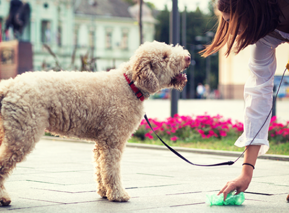 earth day: dog 'waste'