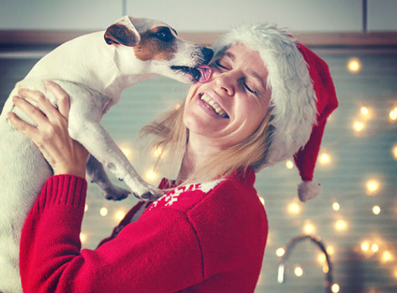 The most important commands to teach dogs for the holidays.